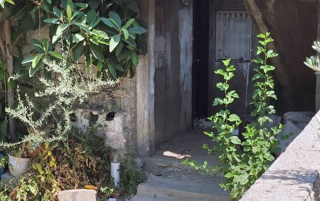 Para vermediği için annesini öldürdü, tutuklandı 1