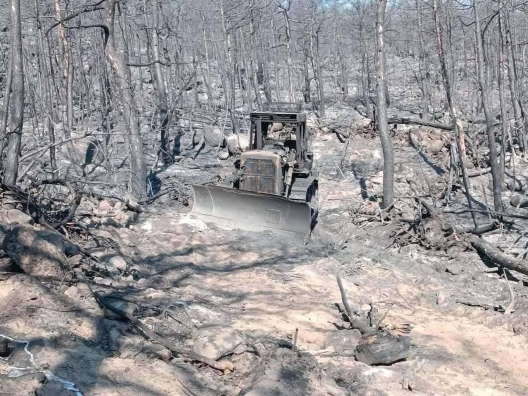 10 orman savaşçısının şehit olduğu alanın fotoğrafları ortaya çıktı 1