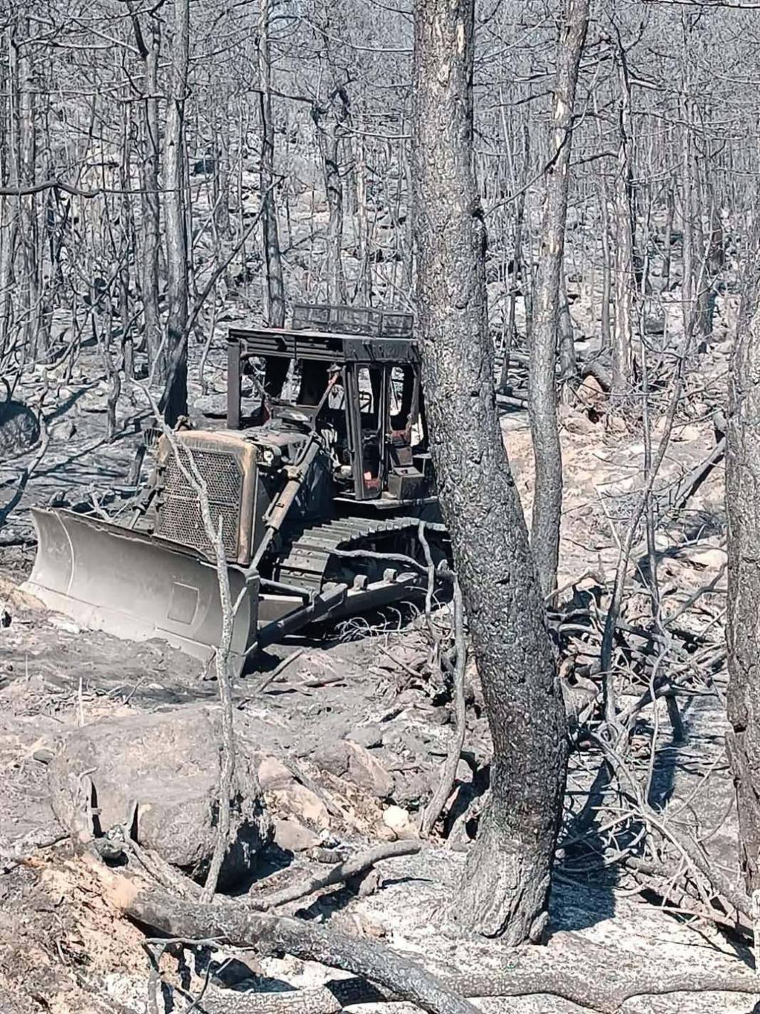 10 orman savaşçısının şehit olduğu alanın fotoğrafları ortaya çıktı 4