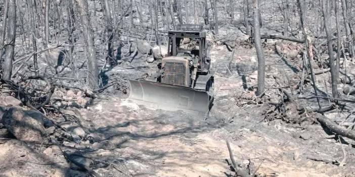 10 orman savaşçısının şehit olduğu alanın fotoğrafları ortaya çıktı