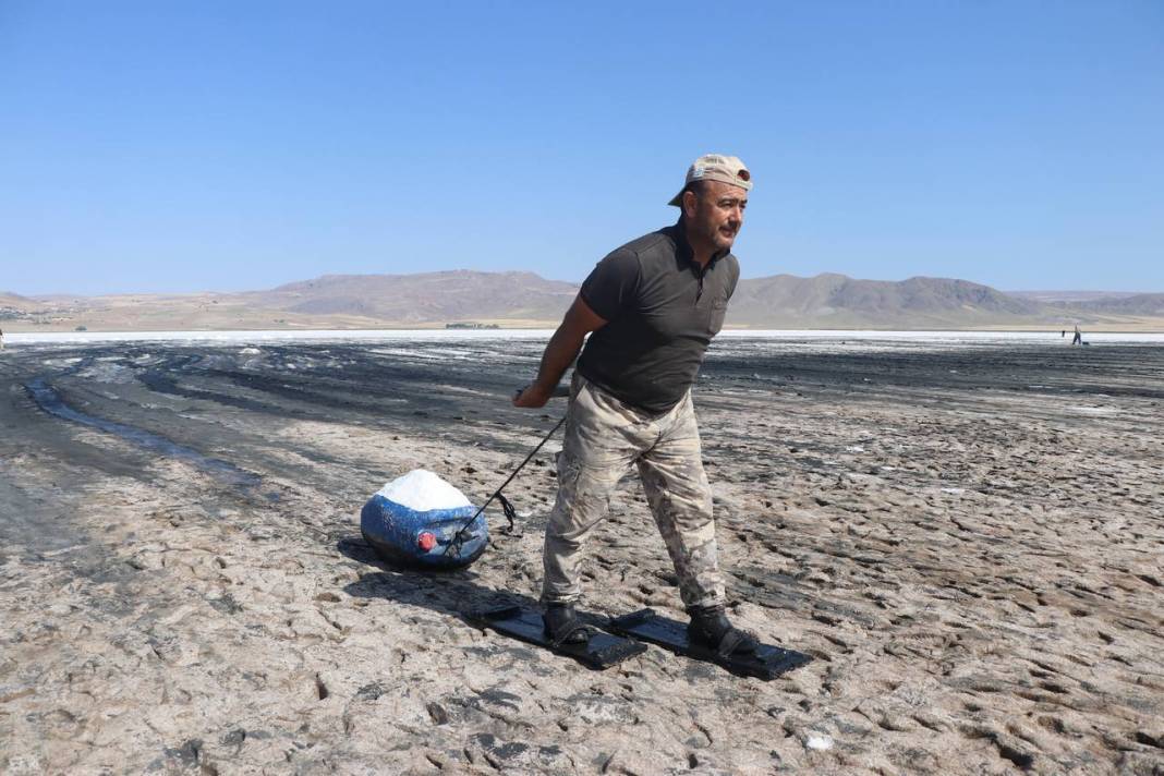 Beyaz ekmekte hasat başladı 10