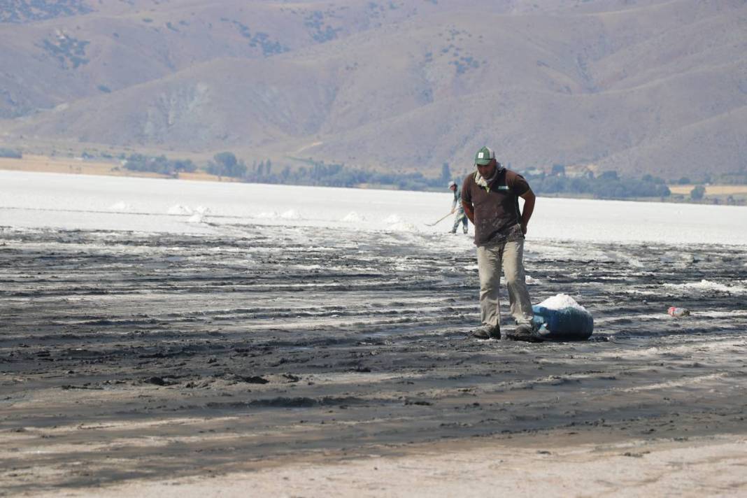 Beyaz ekmekte hasat başladı 2