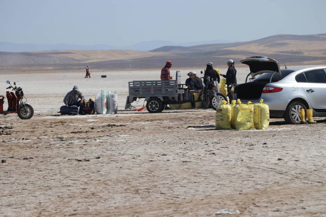 Beyaz ekmekte hasat başladı 3