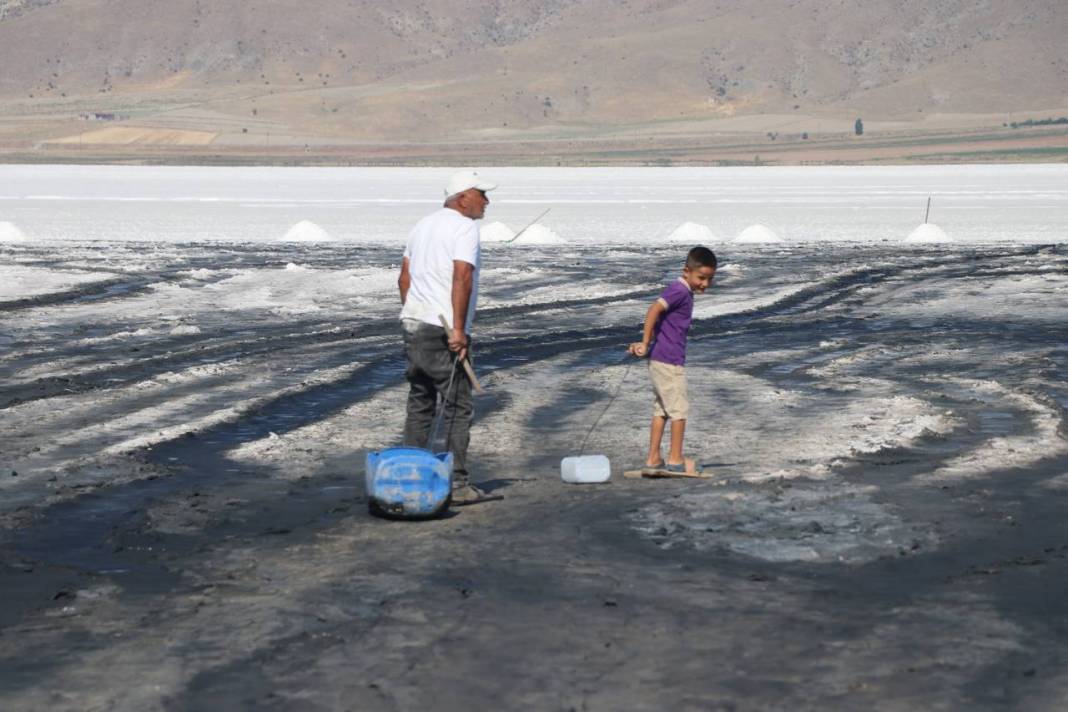 Beyaz ekmekte hasat başladı 4