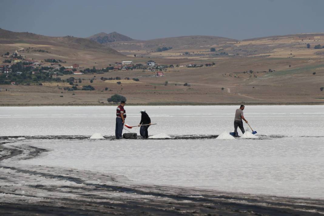 Beyaz ekmekte hasat başladı 5