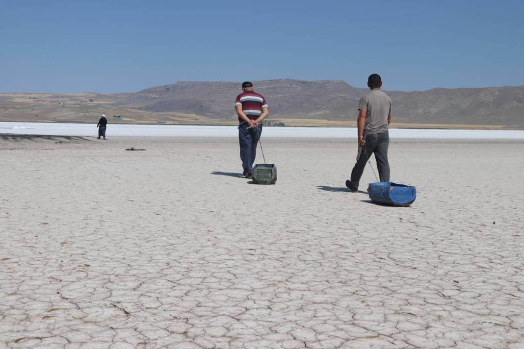 Beyaz ekmekte hasat başladı 6