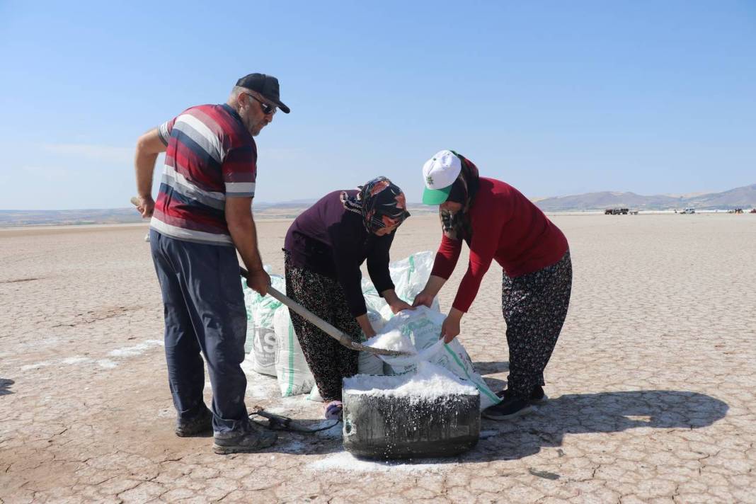 Beyaz ekmekte hasat başladı 7