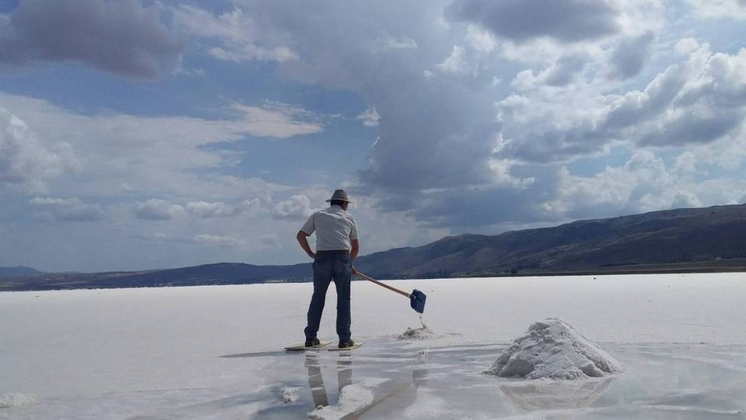 Beyaz ekmekte hasat başladı 8