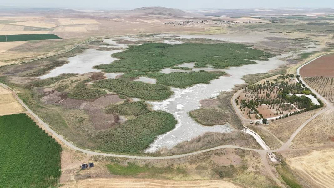 Konya'da kuraklıktan göller bir bir kuruyor 3