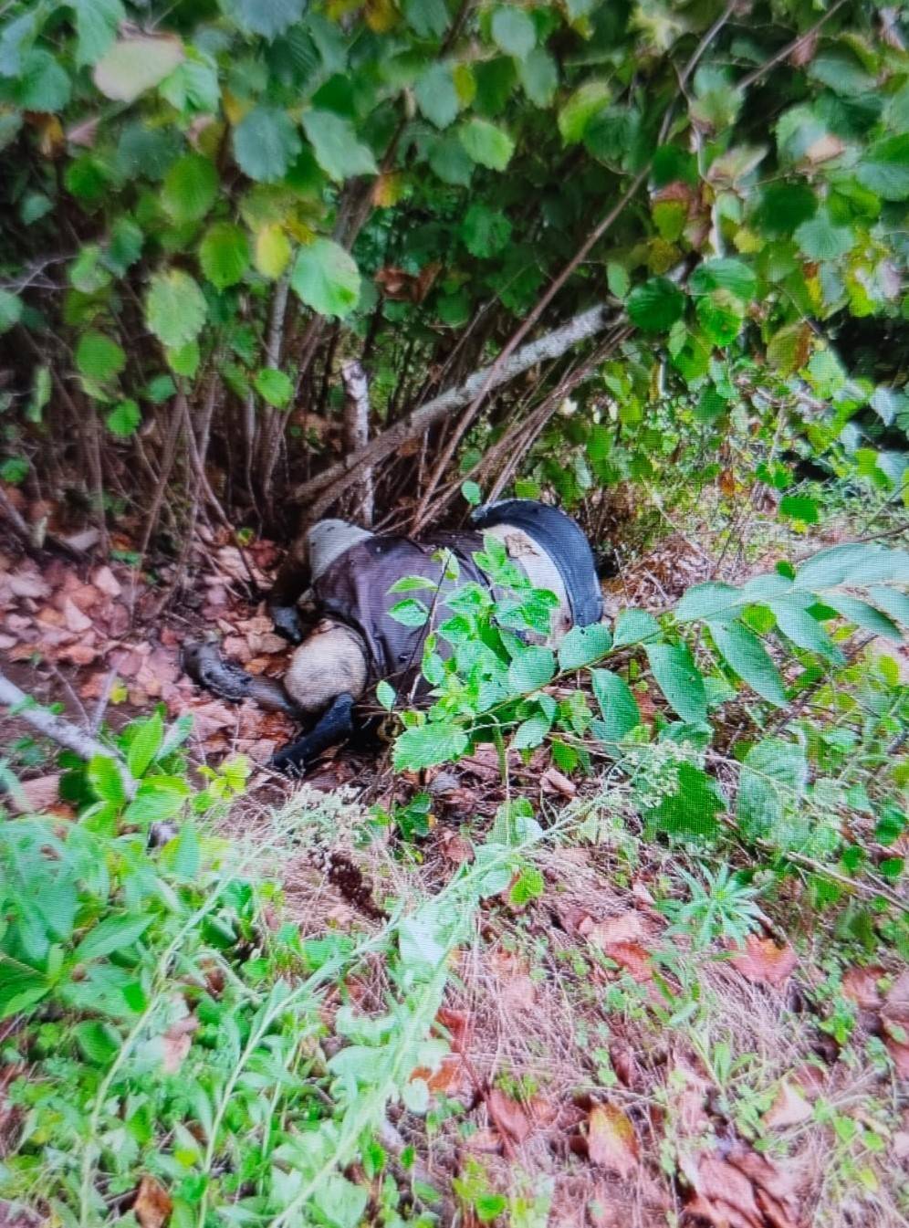 Kaybolduktan 10 gün sonra bahçede cesedi bulundu 4