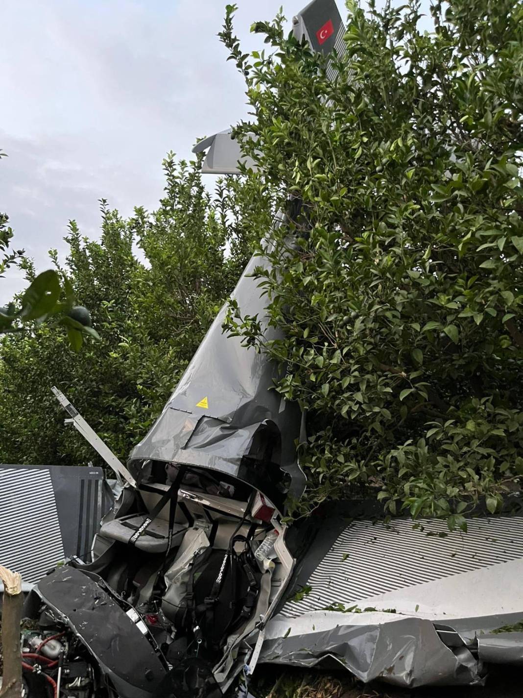 Kaza kırıma uğrayan uçağın evlilik teklifi organizasyonu için havalandığı ortaya çıktı 5
