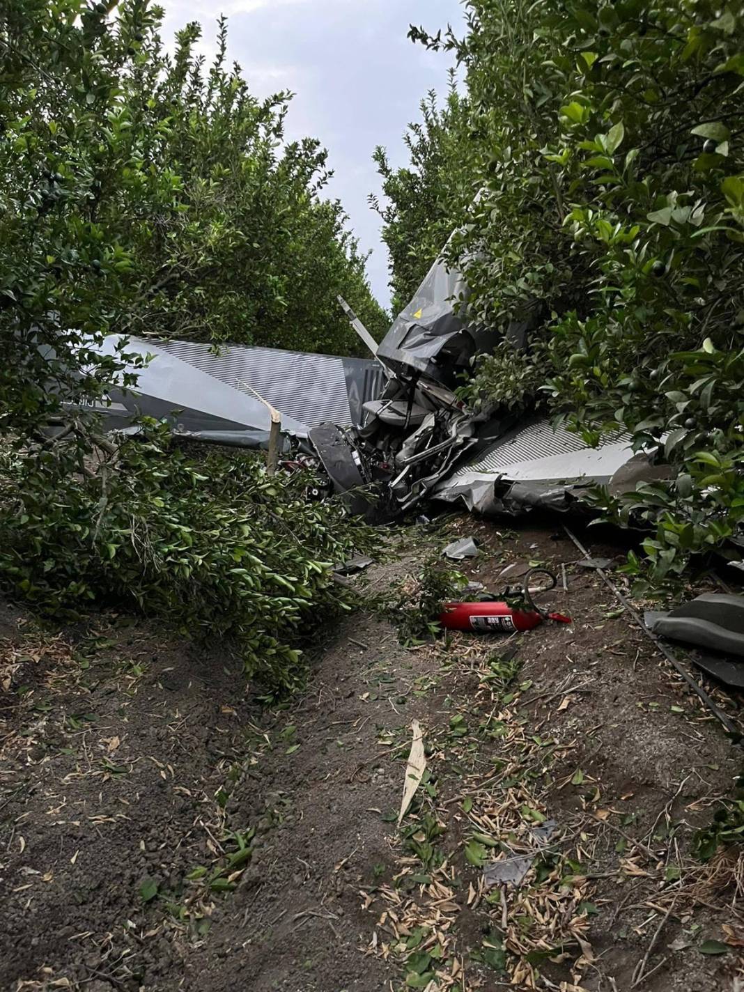 Kaza kırıma uğrayan uçağın evlilik teklifi organizasyonu için havalandığı ortaya çıktı 7