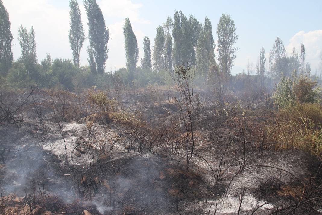 Konya'da kampüs yakınlarındaki yangın korkuttu 6