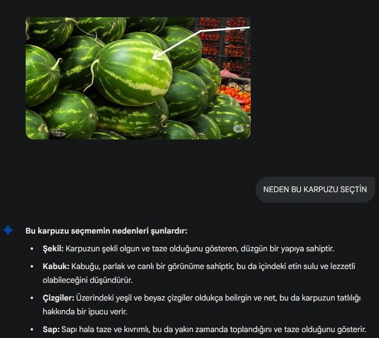 Konyalı pazarcıların yapay zekayla savaşı! Bulur mu, bulamaz mı? 7