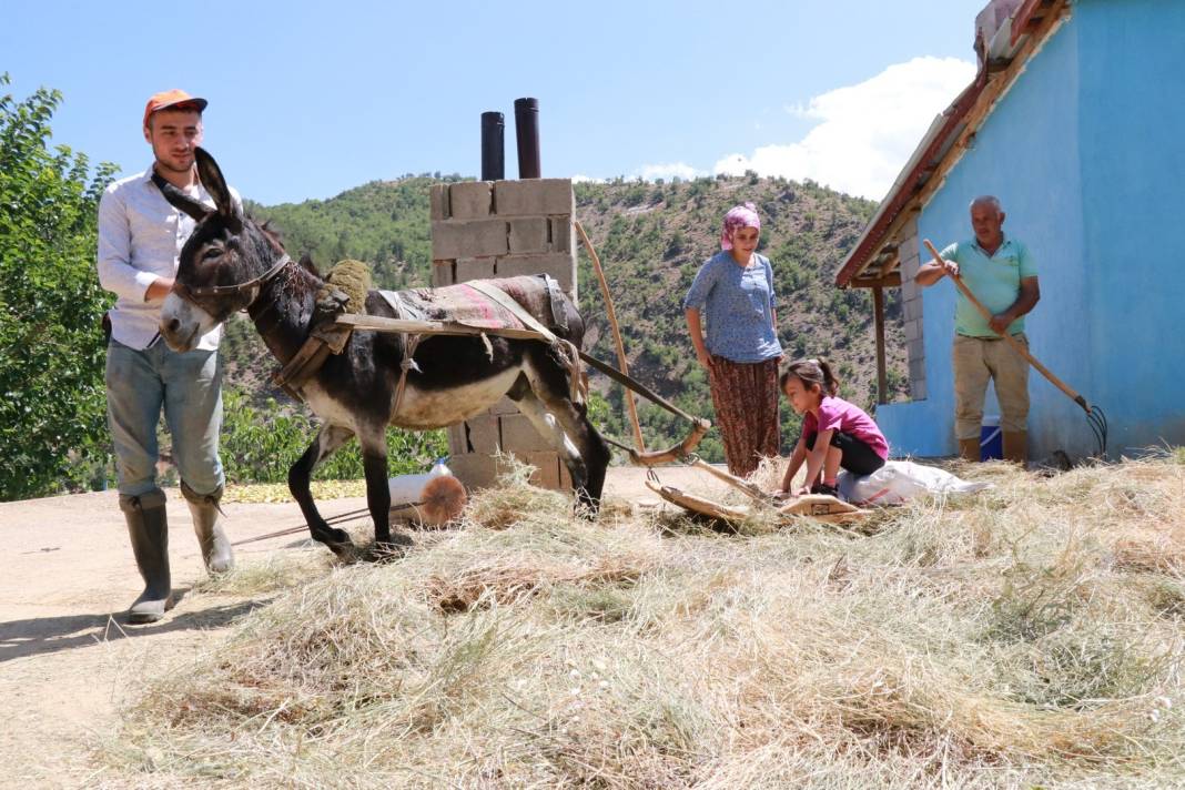 Konya'da geleneksel düvenle saman üretimi sürdürülüyor 1