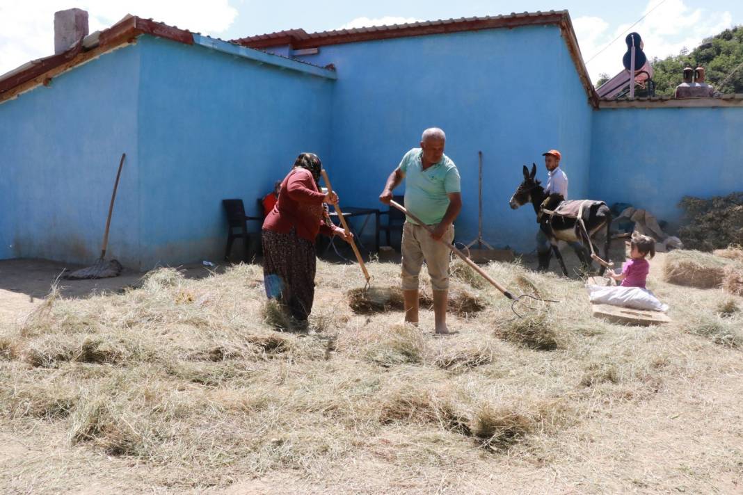 Konya'da geleneksel düvenle saman üretimi sürdürülüyor 2