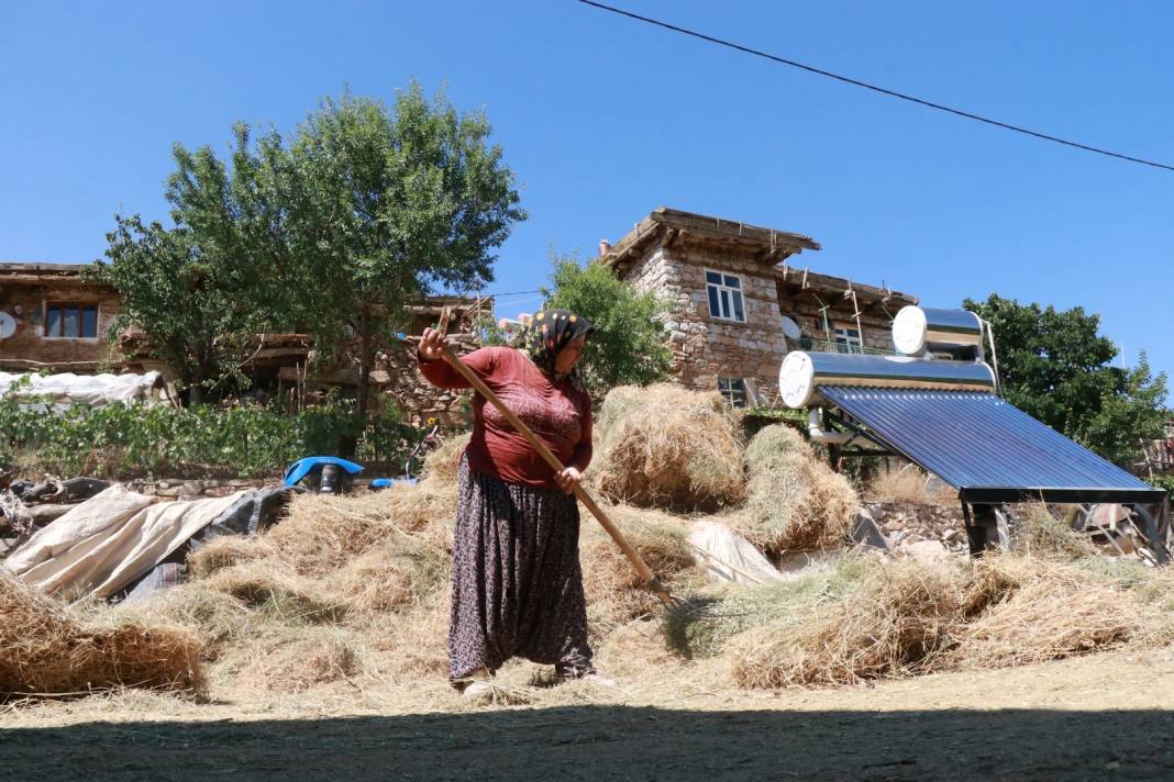 Konya'da geleneksel düvenle saman üretimi sürdürülüyor 3