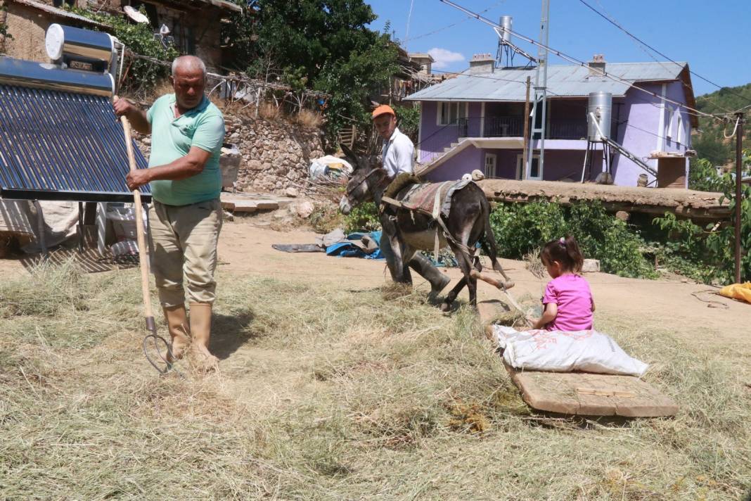 Konya'da geleneksel düvenle saman üretimi sürdürülüyor 4