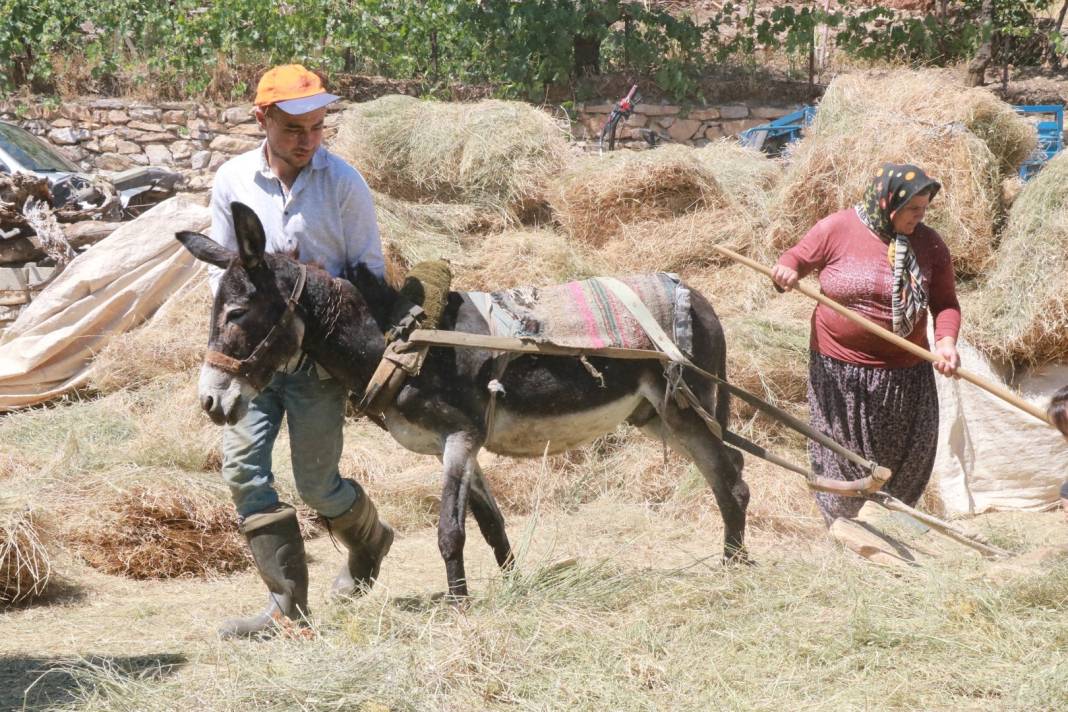 Konya'da geleneksel düvenle saman üretimi sürdürülüyor 5