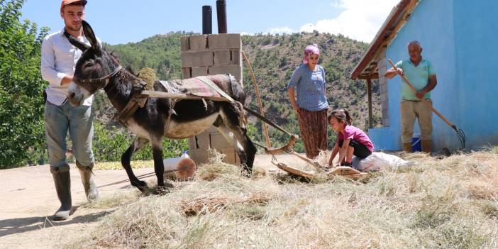 Konya'da geleneksel düvenle saman üretimi sürdürülüyor