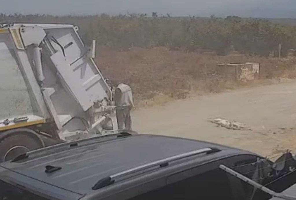 Ezerek öldürdükleri köpekleri çöp kamyonuna atıp götürdüler 4