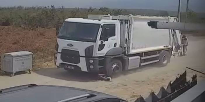 Ezerek öldürdükleri köpekleri çöp kamyonuna atıp götürdüler