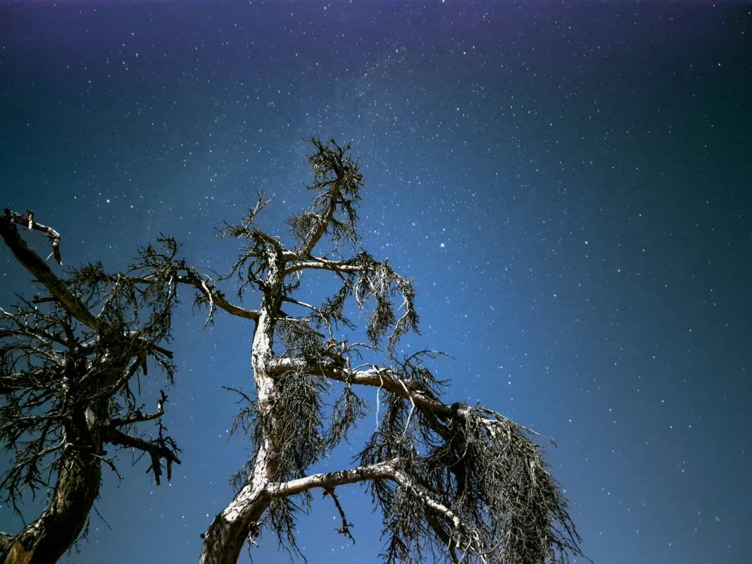 Konya'daki gençler unutulmaz bir gece yaşadı 10