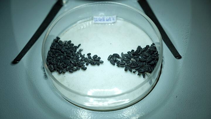 Konya'da önemli keşif: Binlerce yıllık eser gün yüzüne çıktı 10