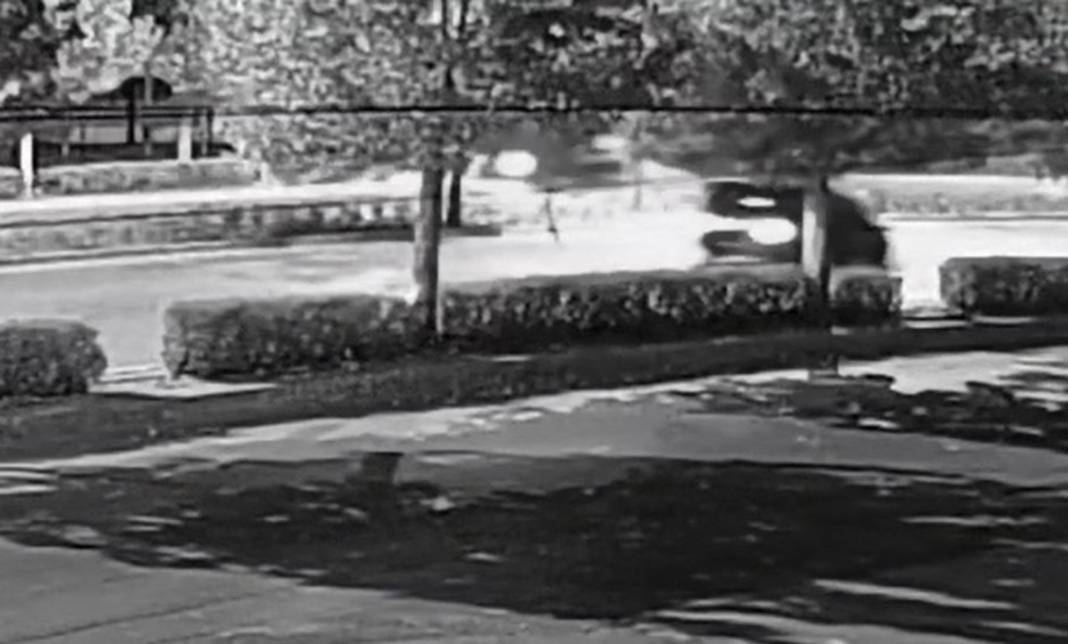 Nişanlı çift, doğum günü kutlaması dönüşü kazada yaşamını yitirdi 2