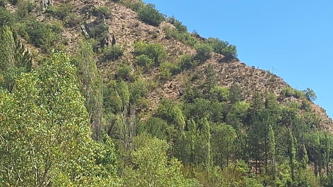 'Kayboldum, düştüm, burada öleceğim' dedi... Ölü bulundu 4