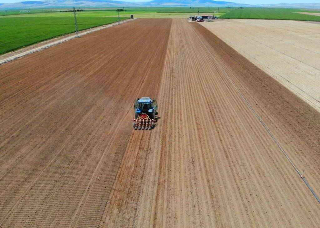 ‘Kiralık tarla’ uygulaması başladı! Konya'da 10 bin dekar boş arazi tespit edildi 3