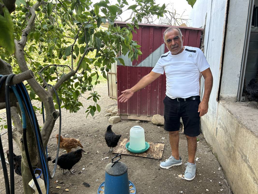 Kümeste felaket... 70 tavuğu telef ettiler 3