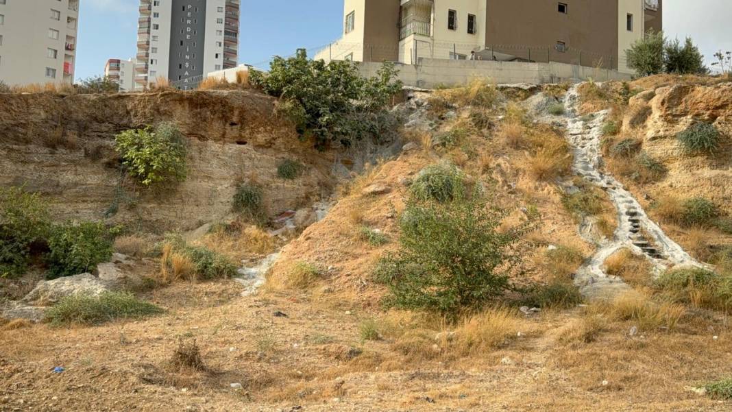 Yol kenarında ceset bulundu 2