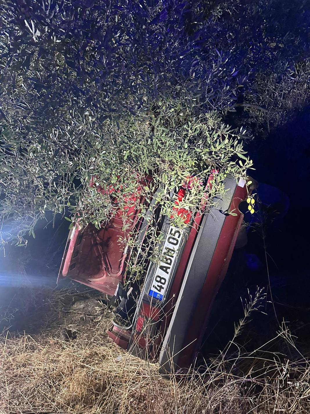 Şarampole yuvarlandı, ağaca çarparak durabildi: 2 ölü 3