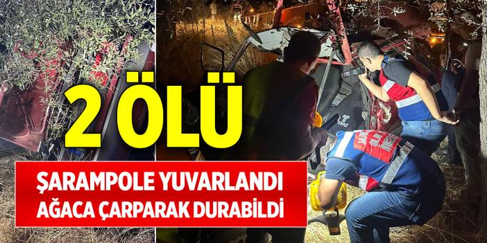 Şarampole yuvarlandı, ağaca çarparak durabildi: 2 ölü