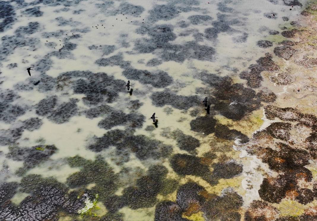 Konya'da kuraklığın etkisiyle su kaynakları dip seviyeleri gördü 10