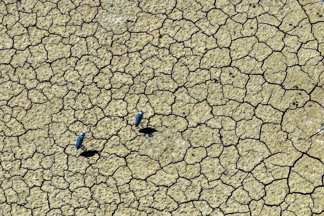 Konya'da kuraklığın etkisiyle su kaynakları dip seviyeleri gördü 12