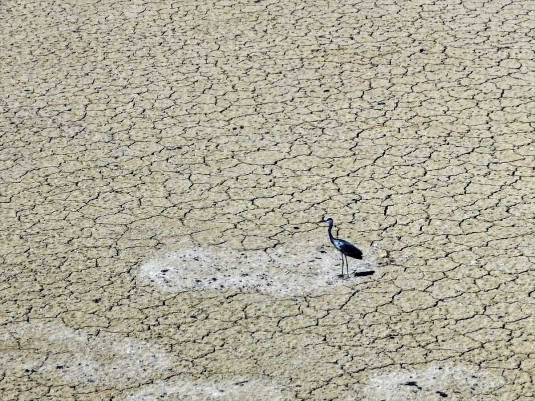Konya'da kuraklığın etkisiyle su kaynakları dip seviyeleri gördü 15