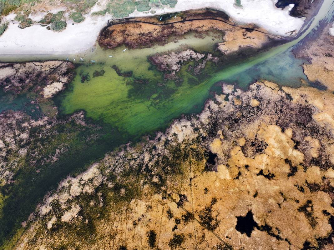 Konya'da kuraklığın etkisiyle su kaynakları dip seviyeleri gördü 2