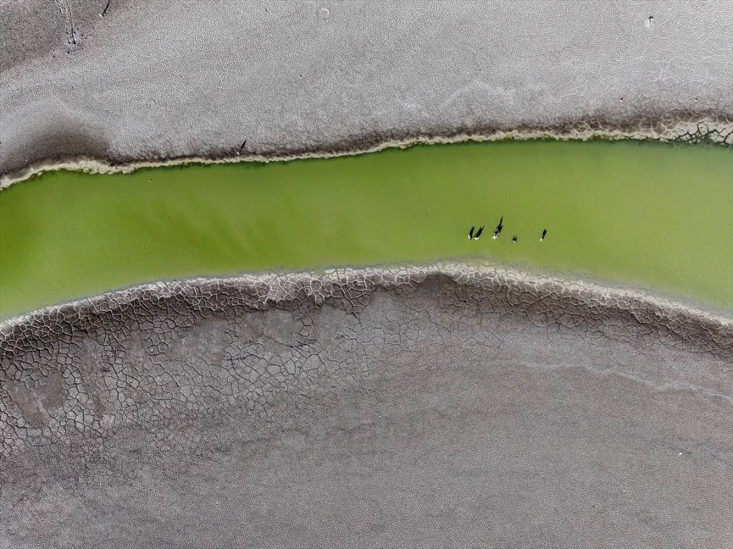 Konya'da kuraklığın etkisiyle su kaynakları dip seviyeleri gördü 27