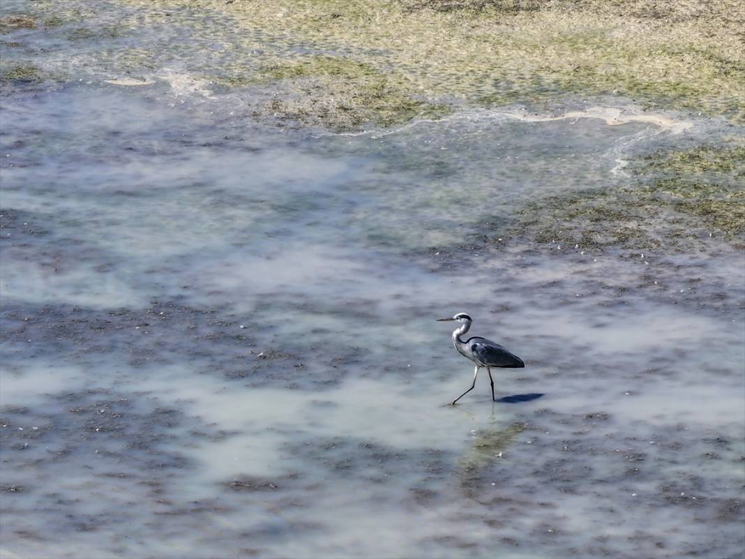 Konya'da kuraklığın etkisiyle su kaynakları dip seviyeleri gördü 3