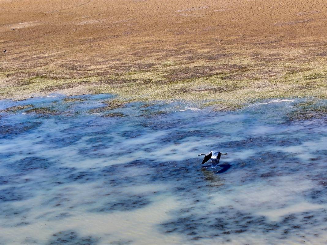 Konya'da kuraklığın etkisiyle su kaynakları dip seviyeleri gördü 4