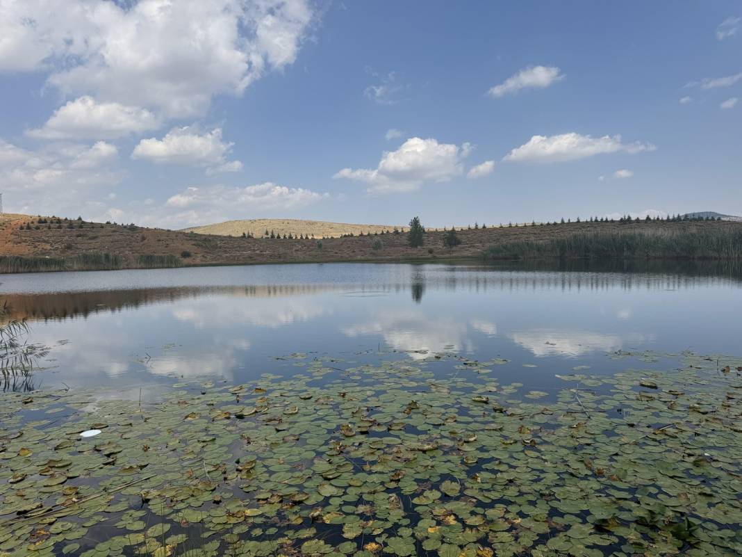 Konya'daki saklı cennet! Tam bir doğa harikası 8