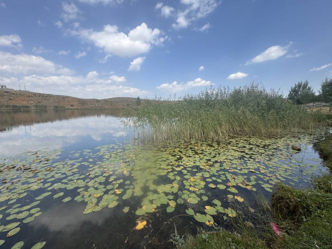 Konya'daki saklı cennet! Tam bir doğa harikası 9