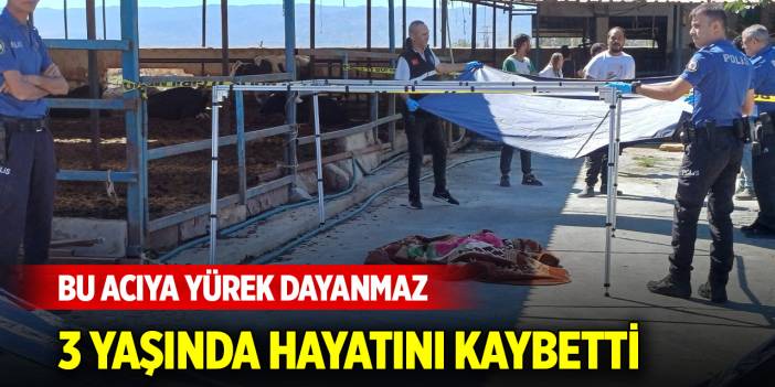 Bu acıya yürek dayanmaz... 3 yaşında hayatını kaybetti
