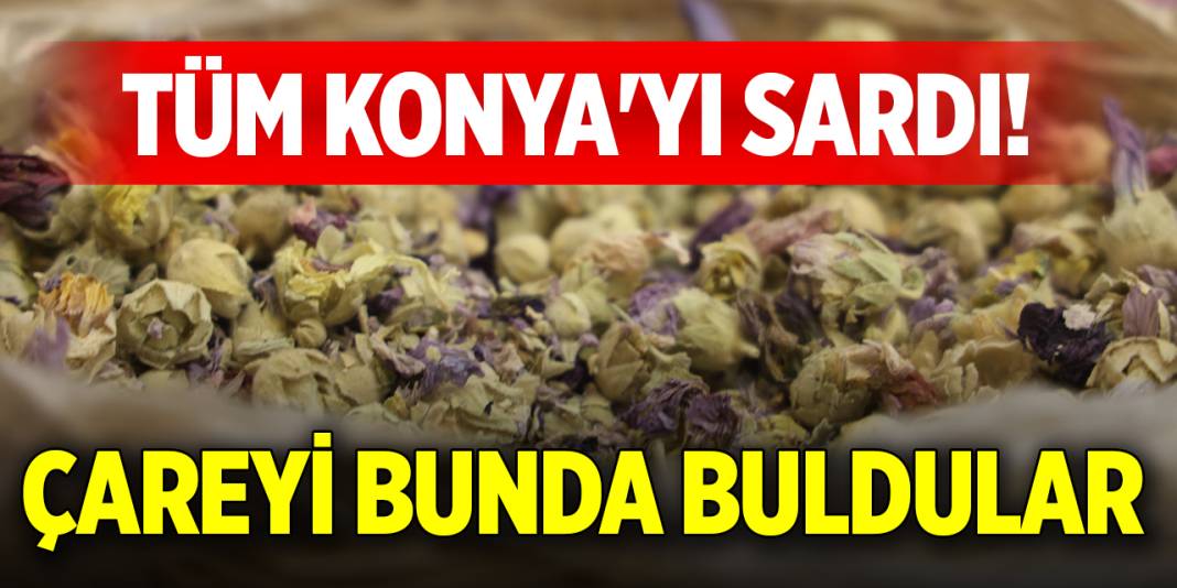 Tüm Konya'yı sardı! Çareyi bunda buldular 1