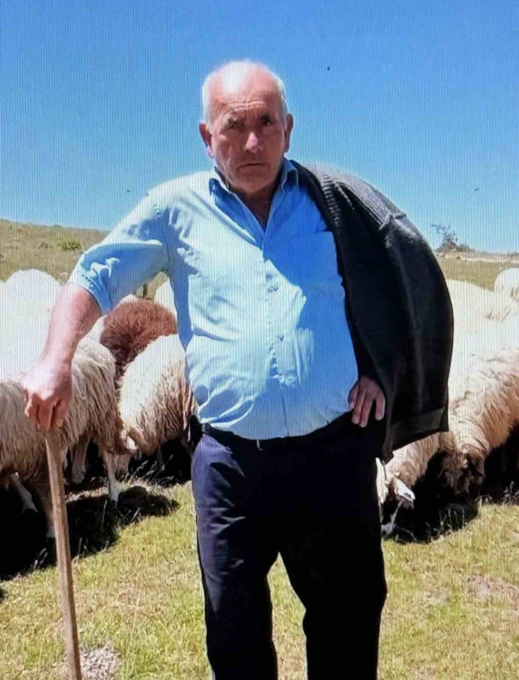 Otomobilin çarptığı çoban hayatını kaybetti 1