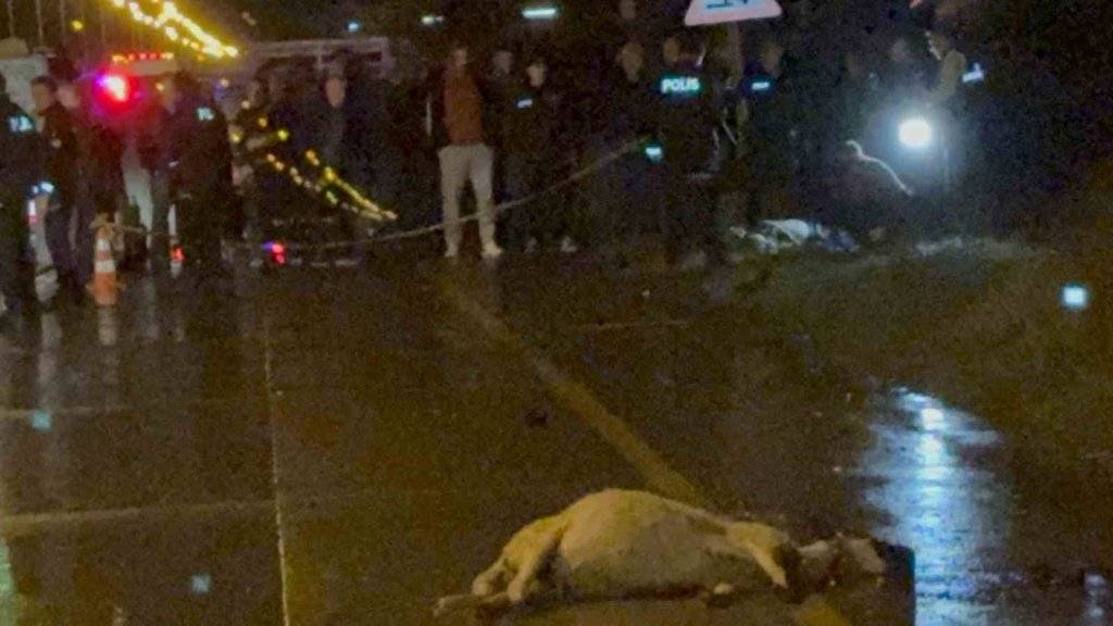 Otomobilin çarptığı çoban hayatını kaybetti 5