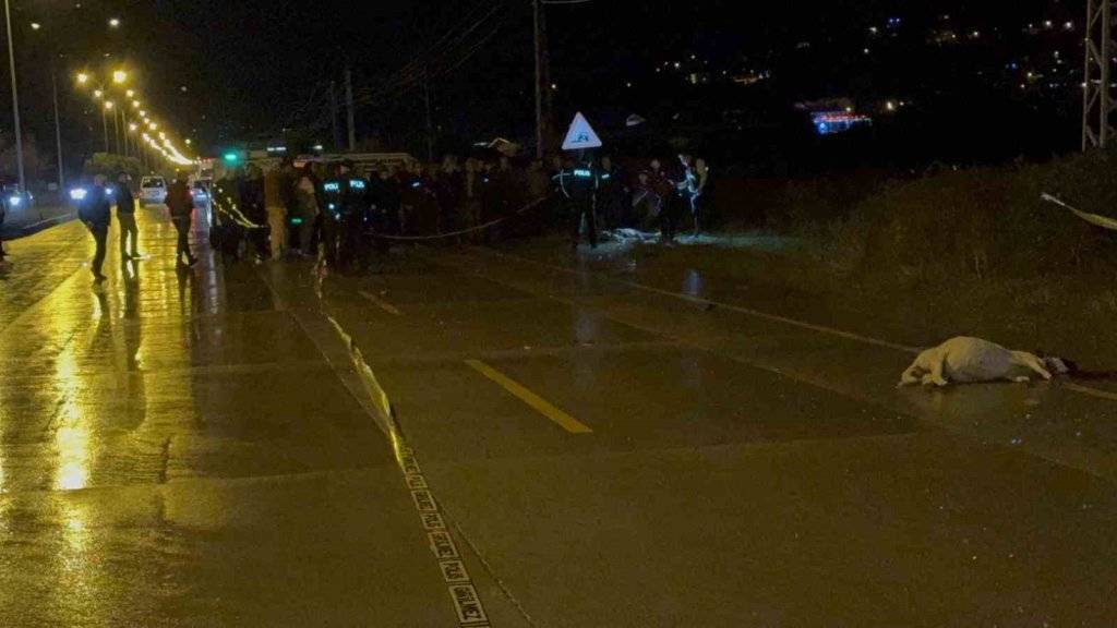 Otomobilin çarptığı çoban hayatını kaybetti 6