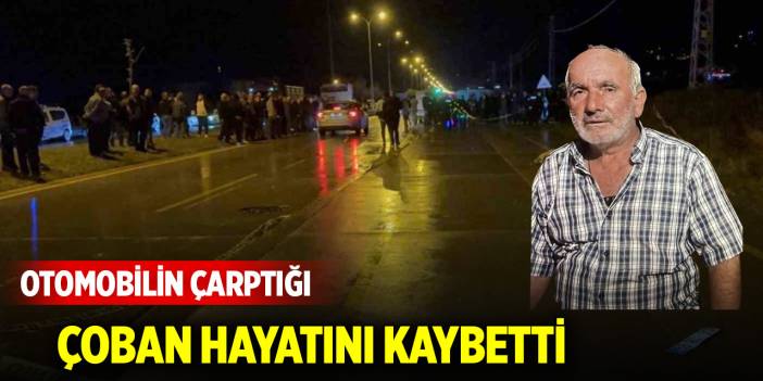 Otomobilin çarptığı çoban hayatını kaybetti